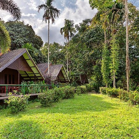 Khao Sok Riverside Cottages Khao Sok National Park Dış mekan fotoğraf