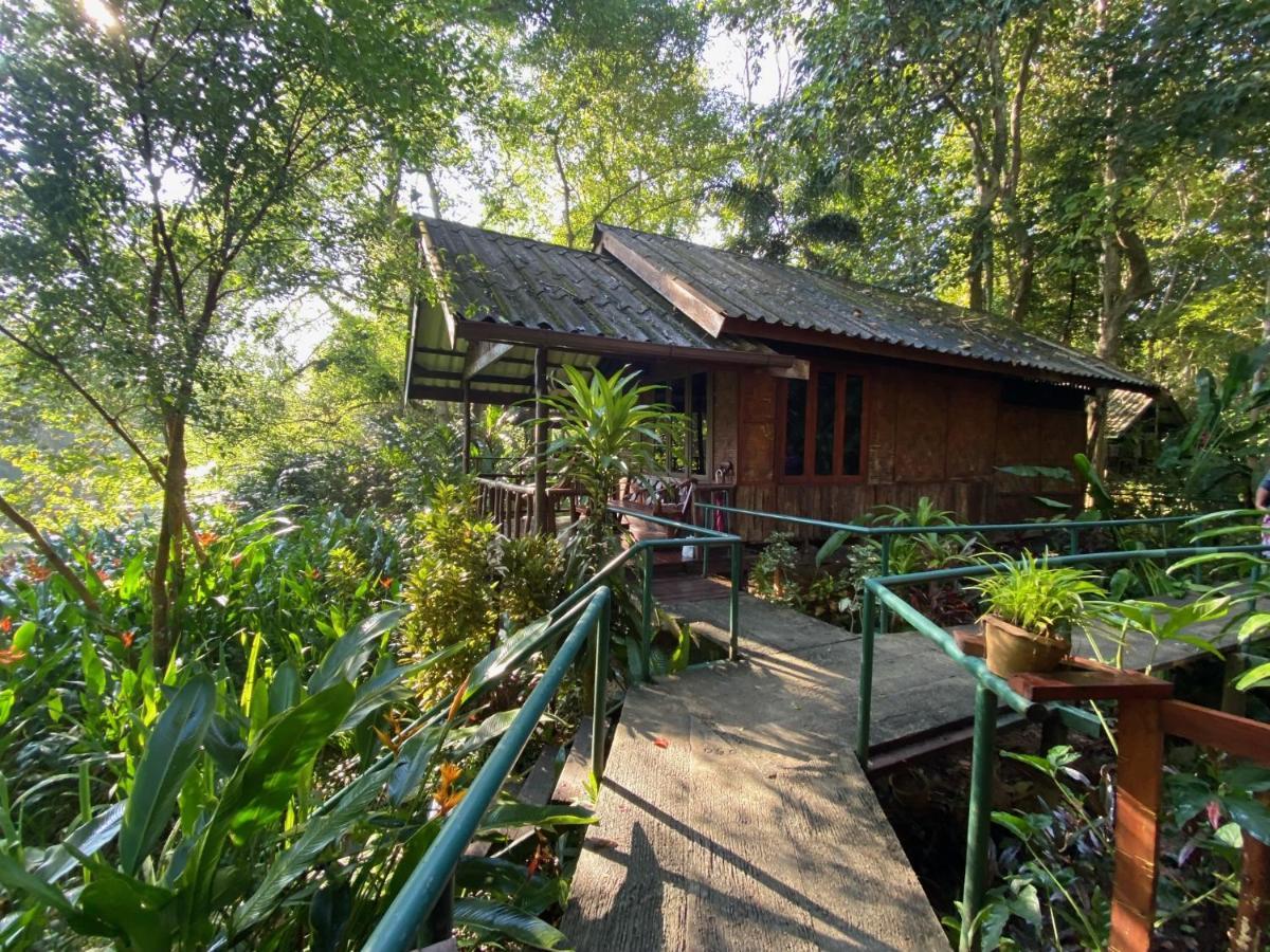 Khao Sok Riverside Cottages Khao Sok National Park Dış mekan fotoğraf