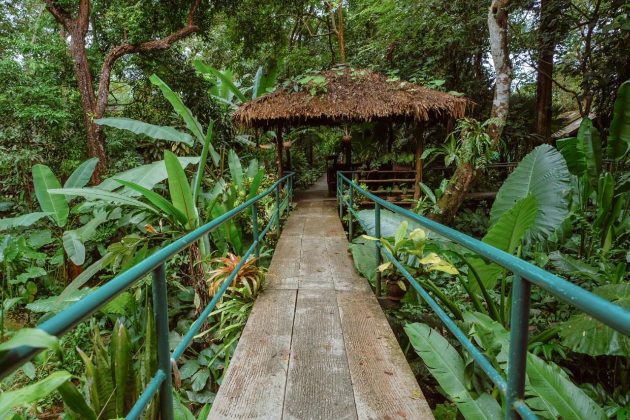 Khao Sok Riverside Cottages Khao Sok National Park Dış mekan fotoğraf