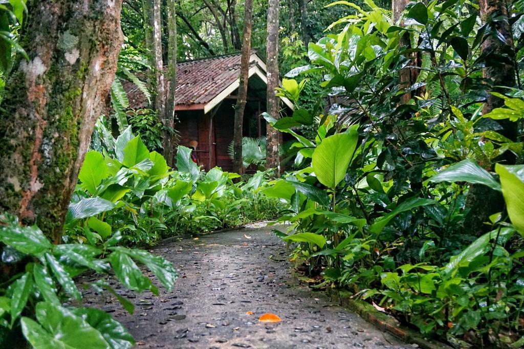 Khao Sok Riverside Cottages Khao Sok National Park Dış mekan fotoğraf