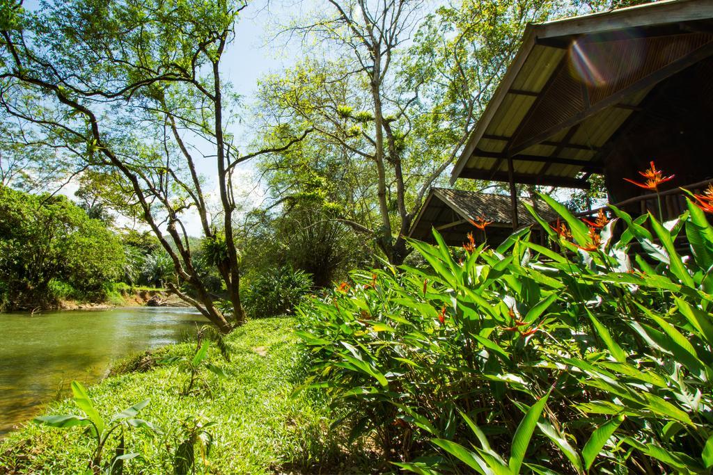 Khao Sok Riverside Cottages Khao Sok National Park Dış mekan fotoğraf