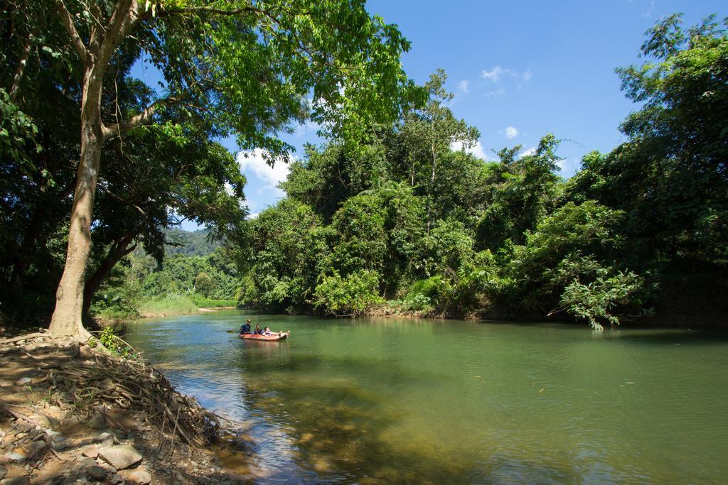 Khao Sok Riverside Cottages Khao Sok National Park Dış mekan fotoğraf